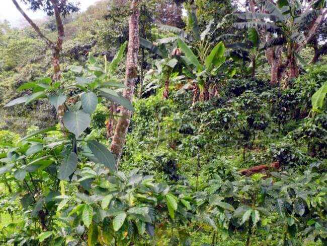 Entorno natural de la finca